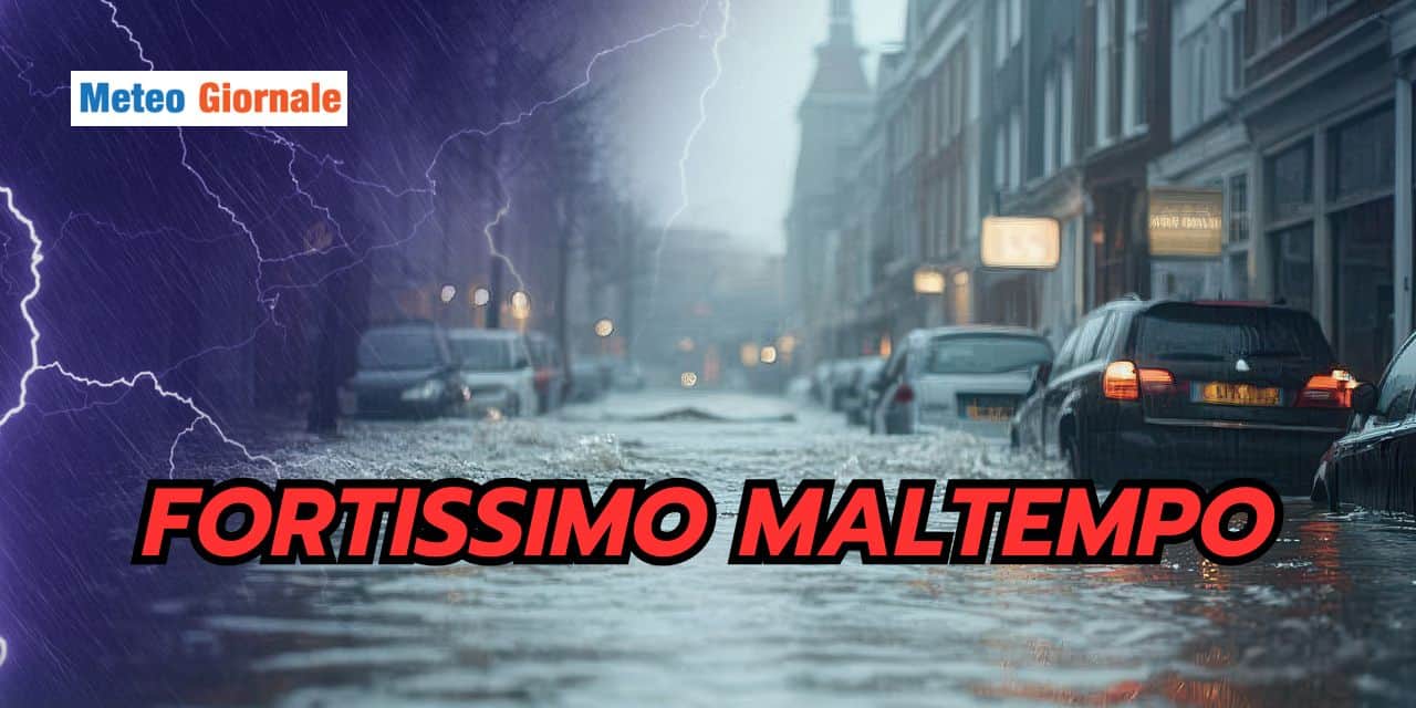 fortissimo 0603