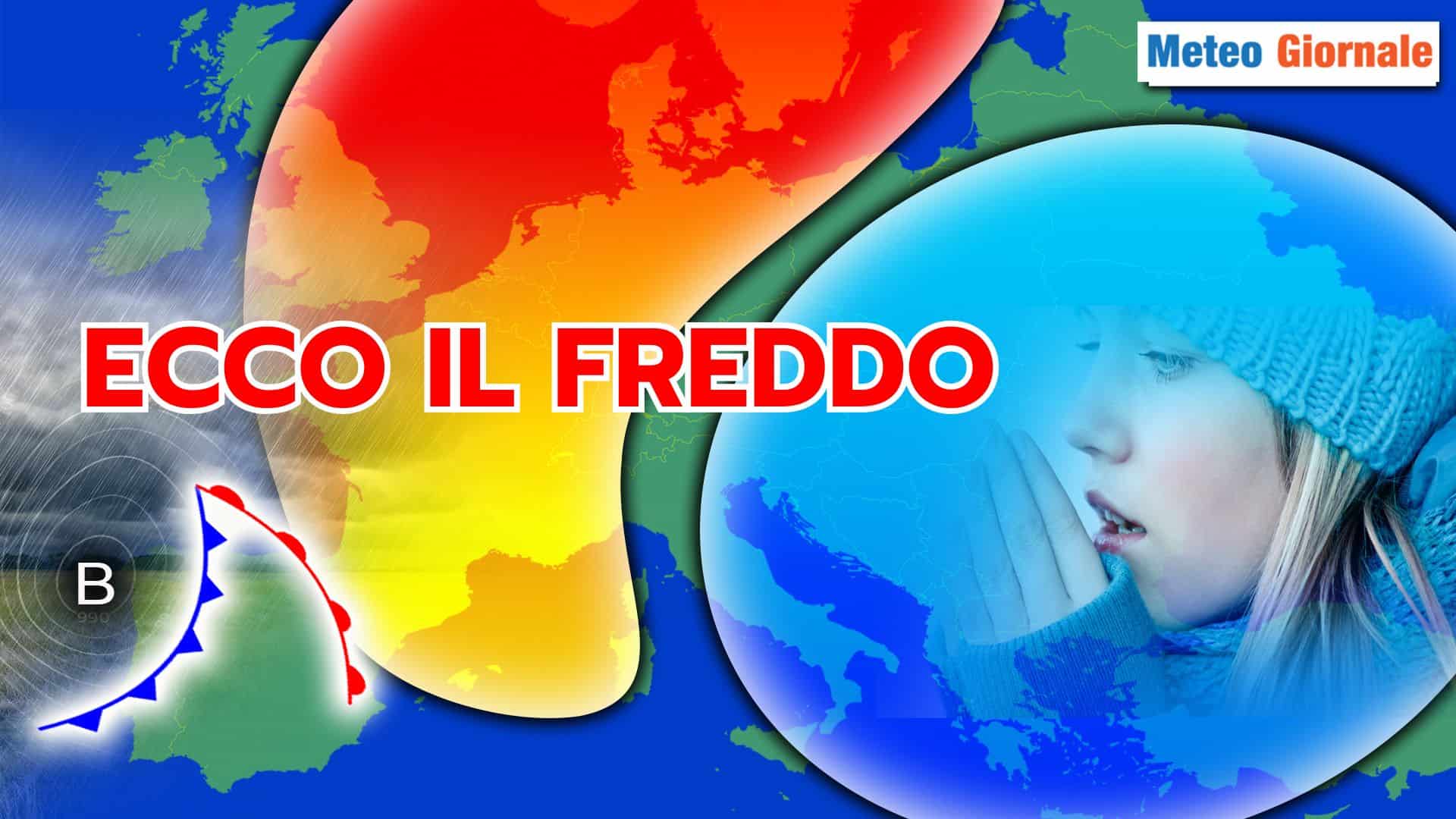 freddo 29 fhjzefgh