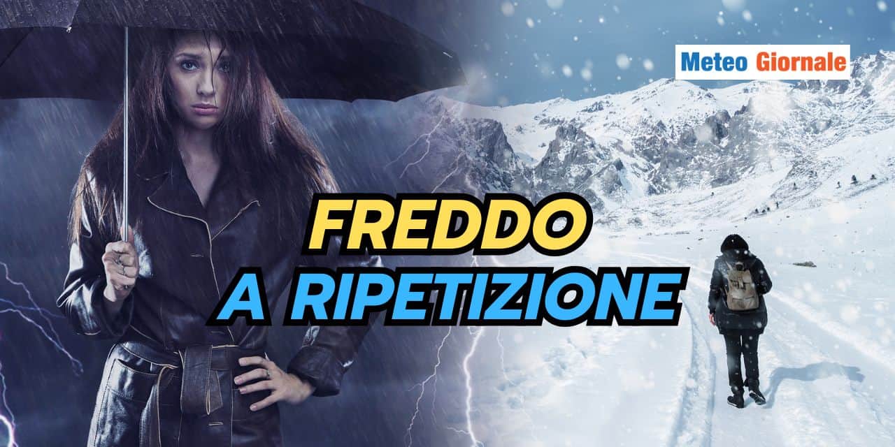 freddo 3103