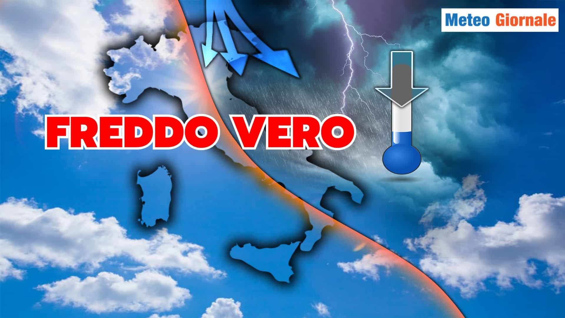 freddo vero 14 cvbSb