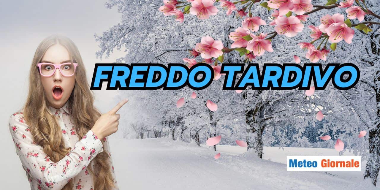 freddotardivo 3003