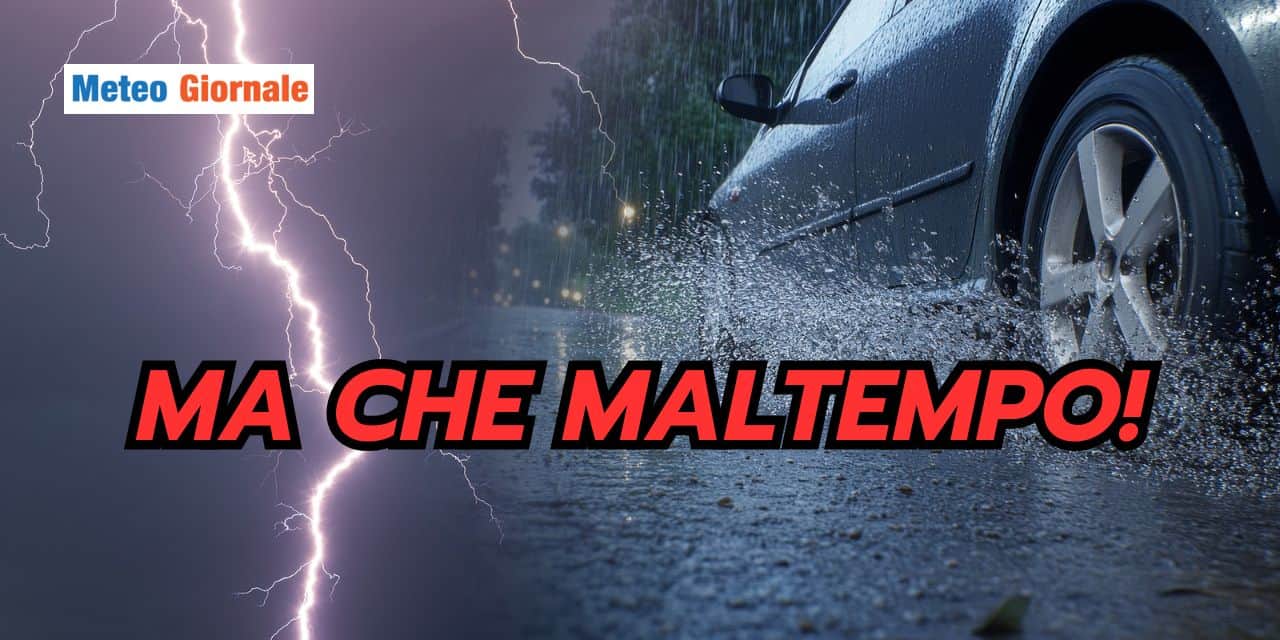 mache 2203