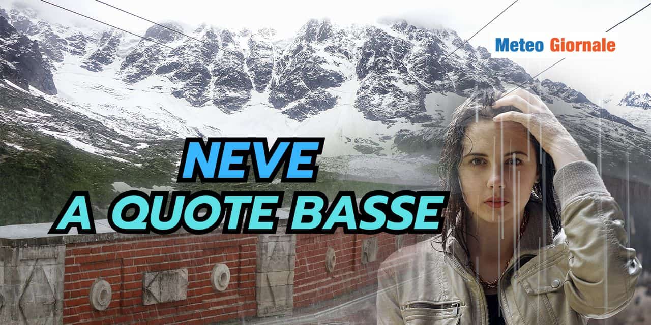 neveaquote 3103