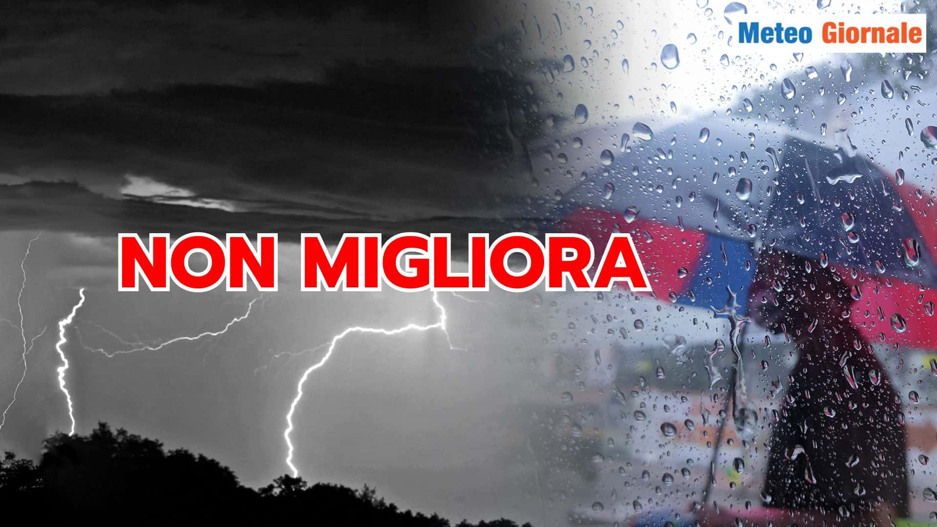 niente miglioramento 24 zdfh