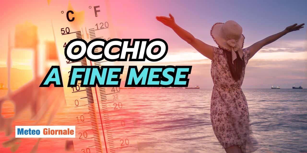 occhio 1103