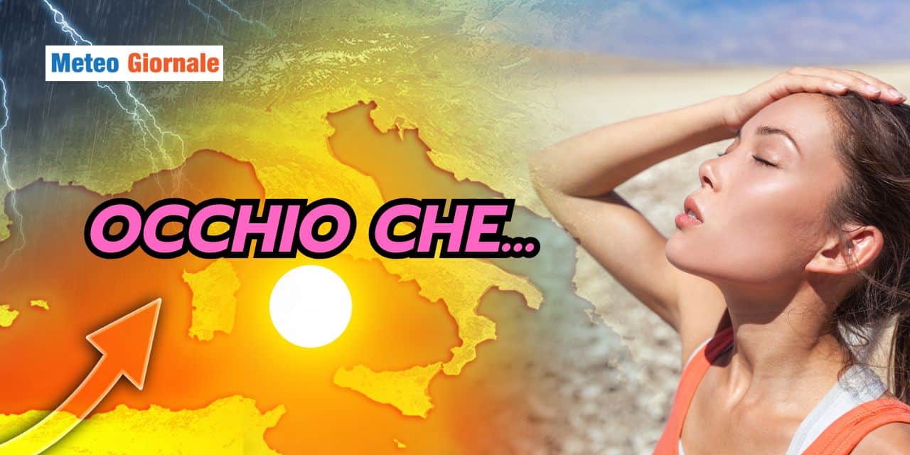 occhio 1403