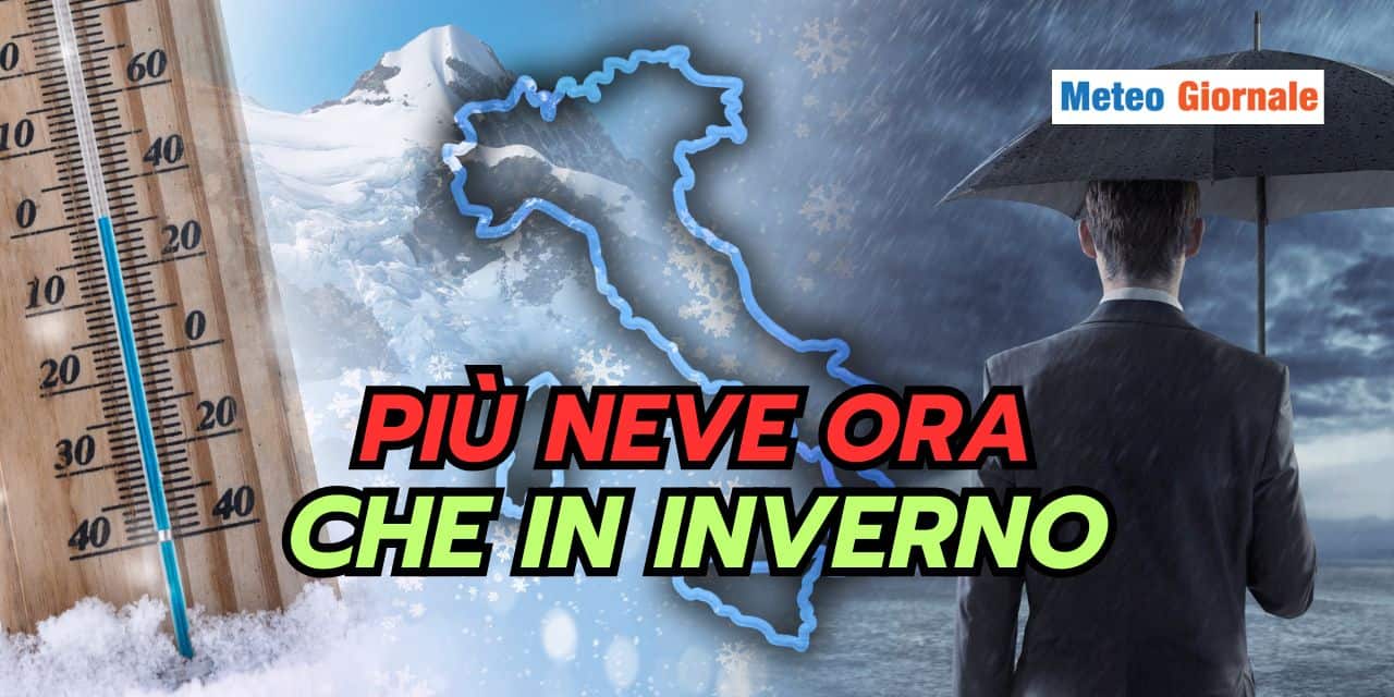 piu 1103