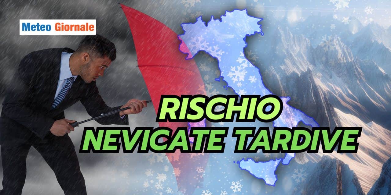 rischio 3103