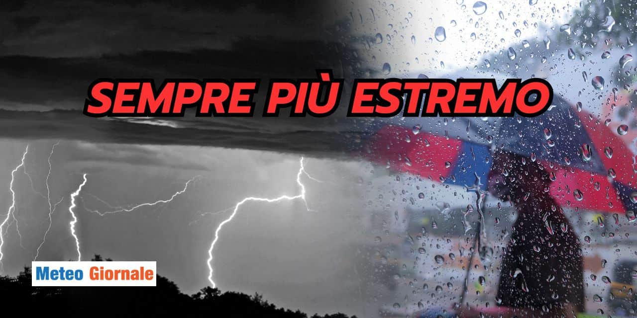 sempre 1103