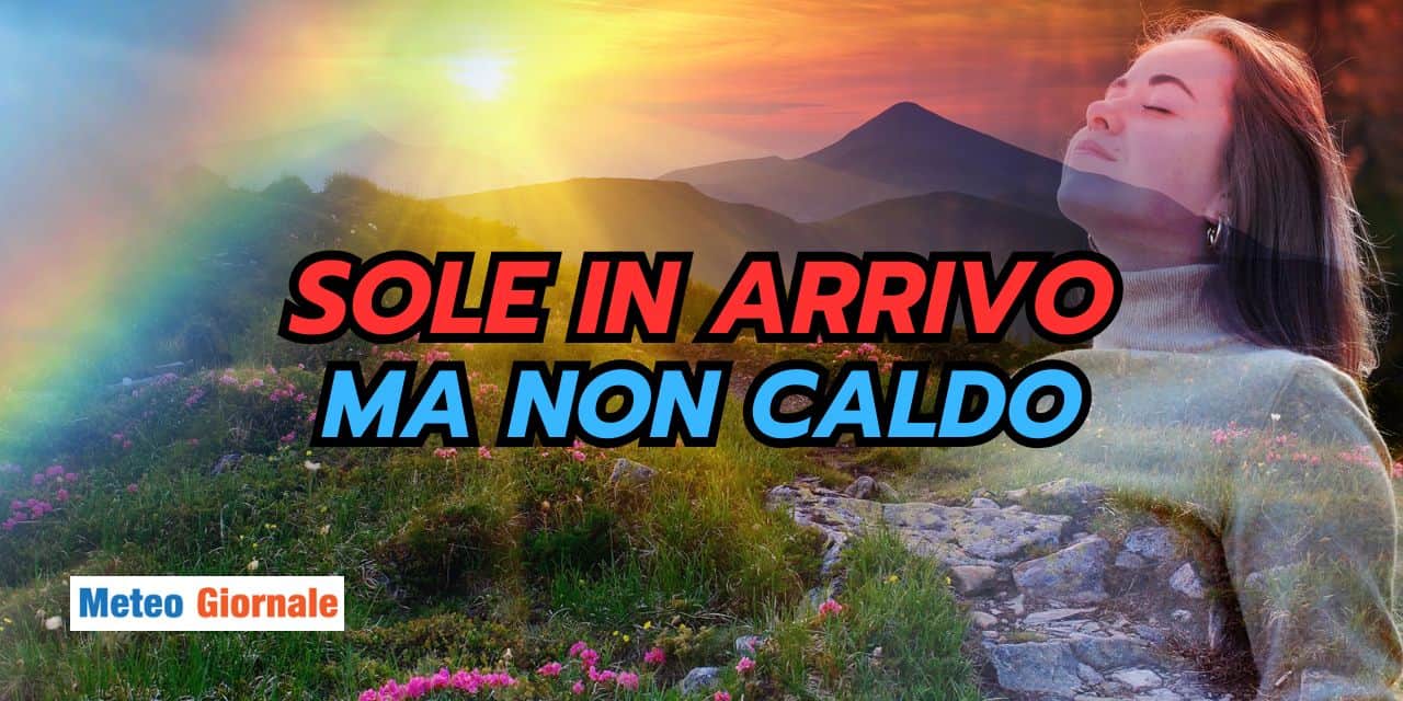 sole 2903
