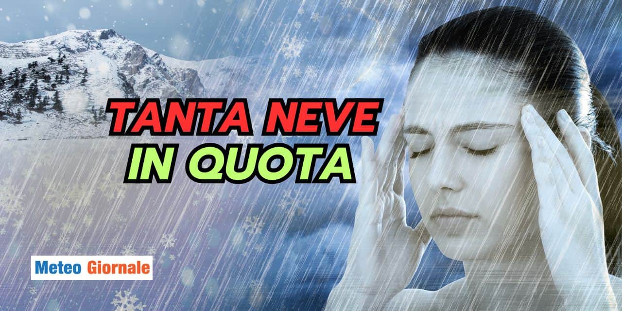 tanta 1103