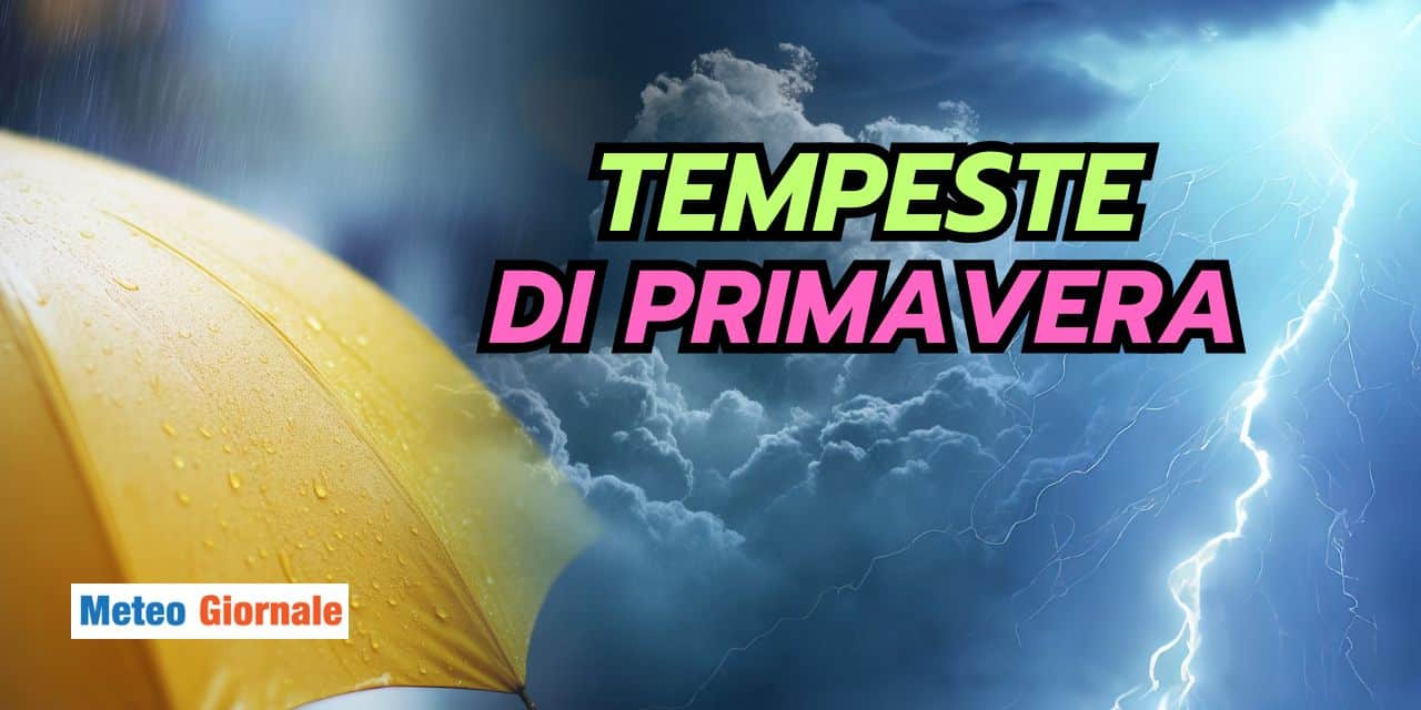 tempeste 1003