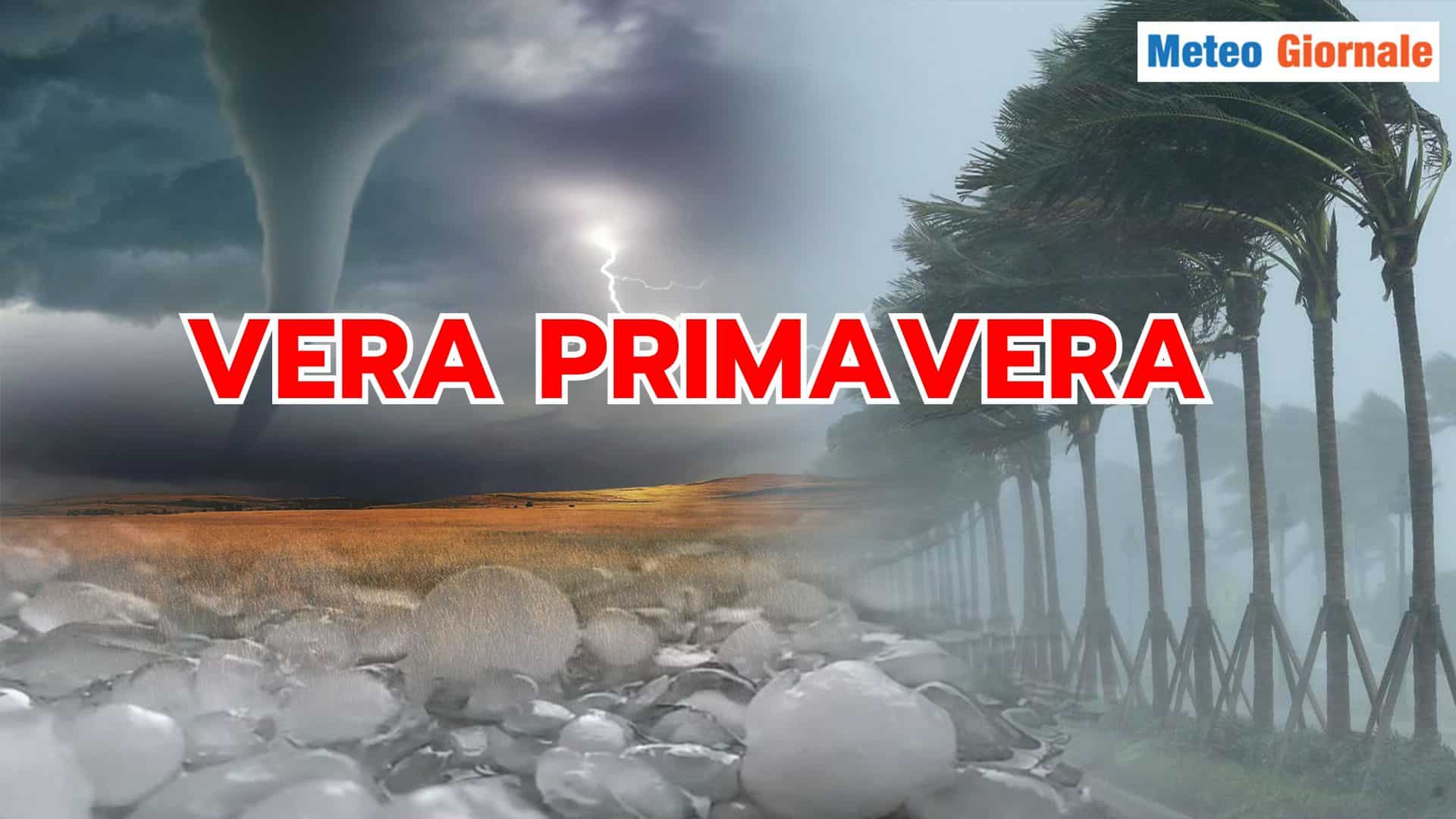vera primavera 26