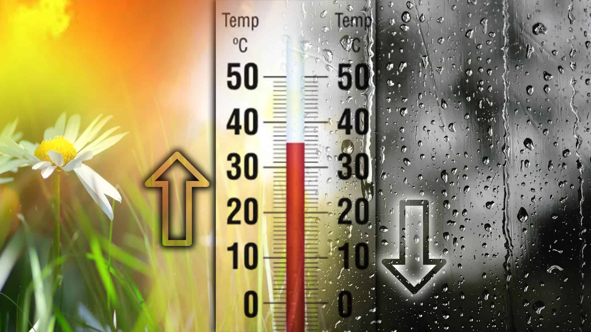 100425 C