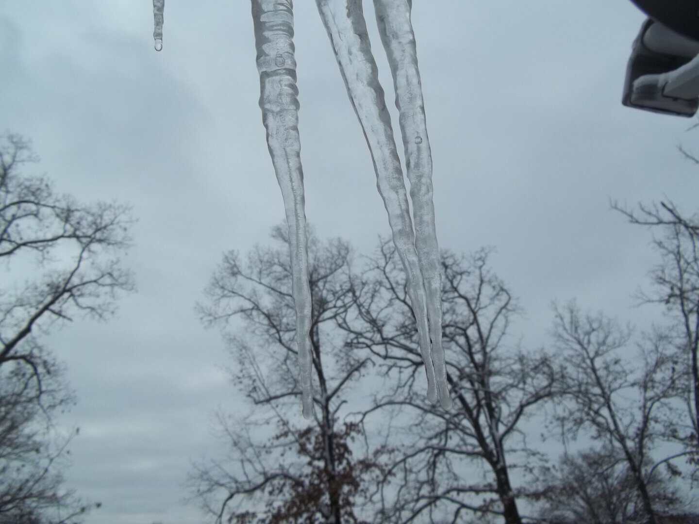 Meteo Arkansas: irruzione artica in arrivo e rischio gelo sulle montagne degli Ozarks