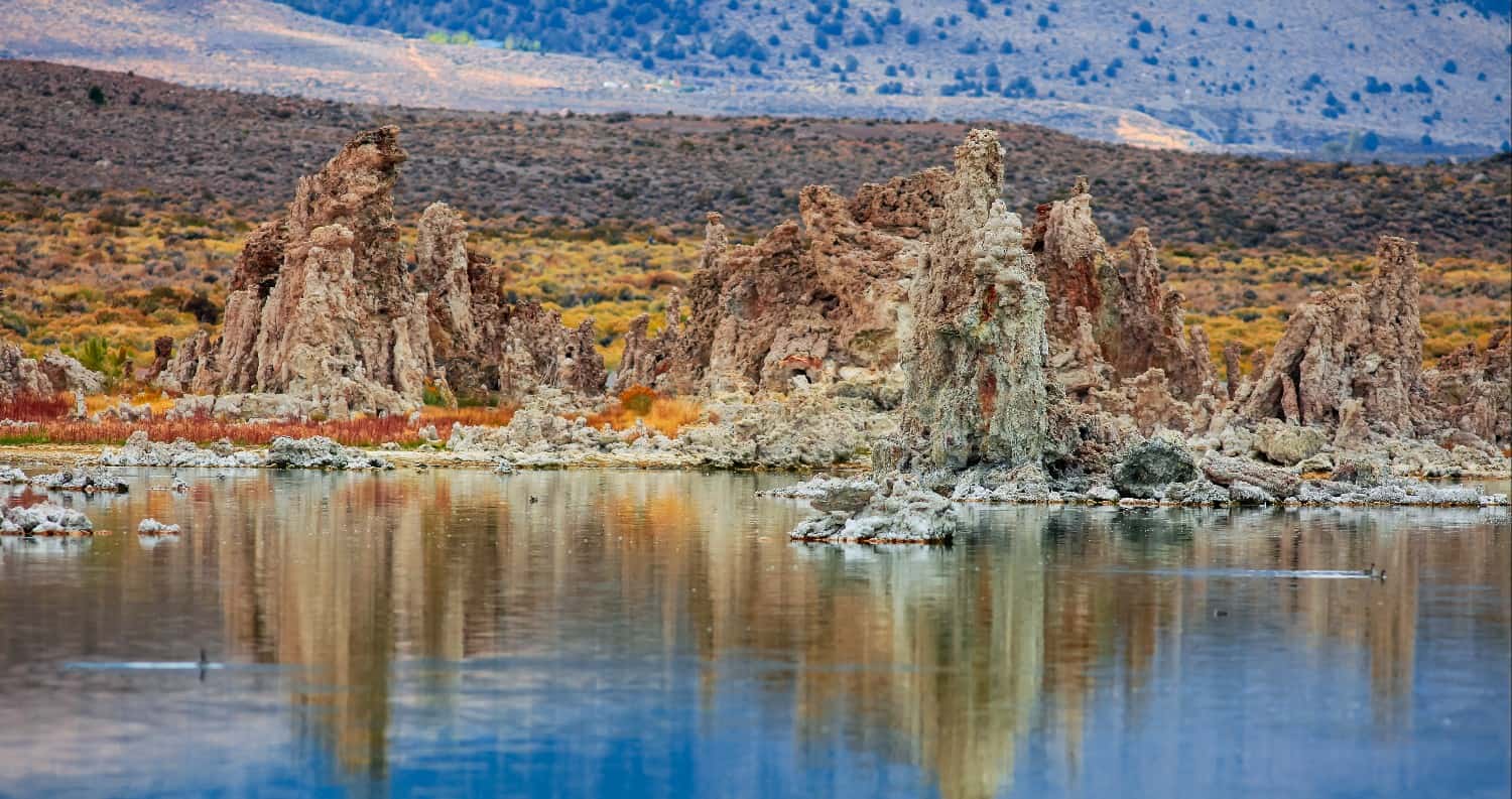 Microbo dei laghi salati si trasforma in creatura multicellulare