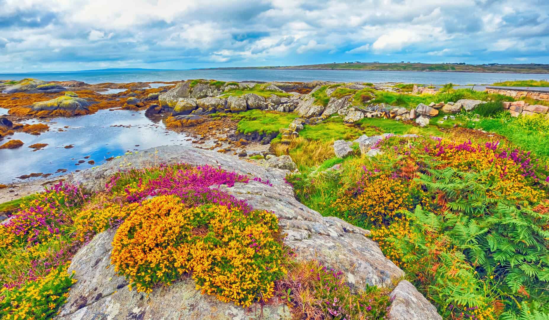 Spring in Ireland 180425