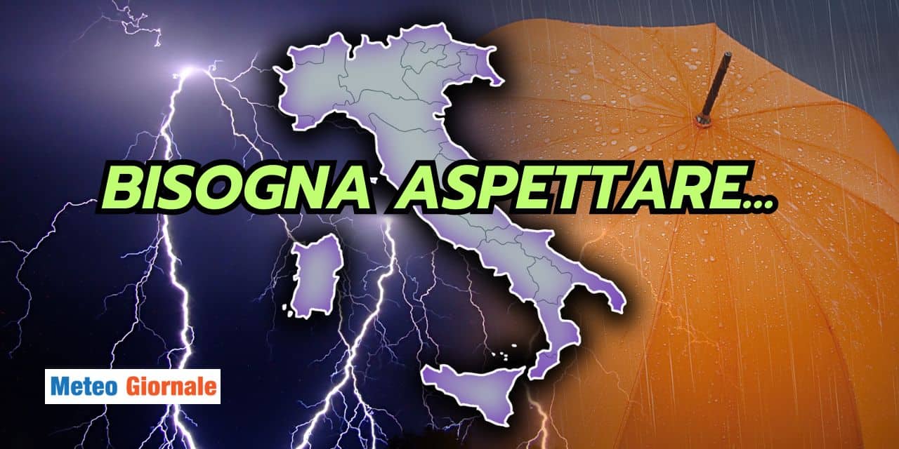 bisogna 1504