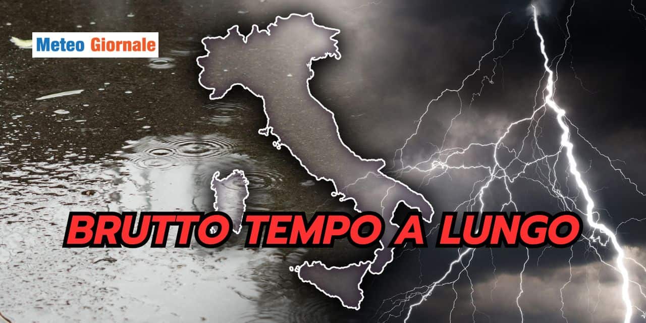 brutto 1504
