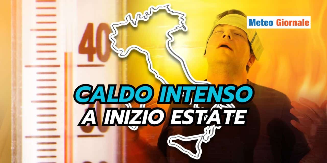 caldo 2304