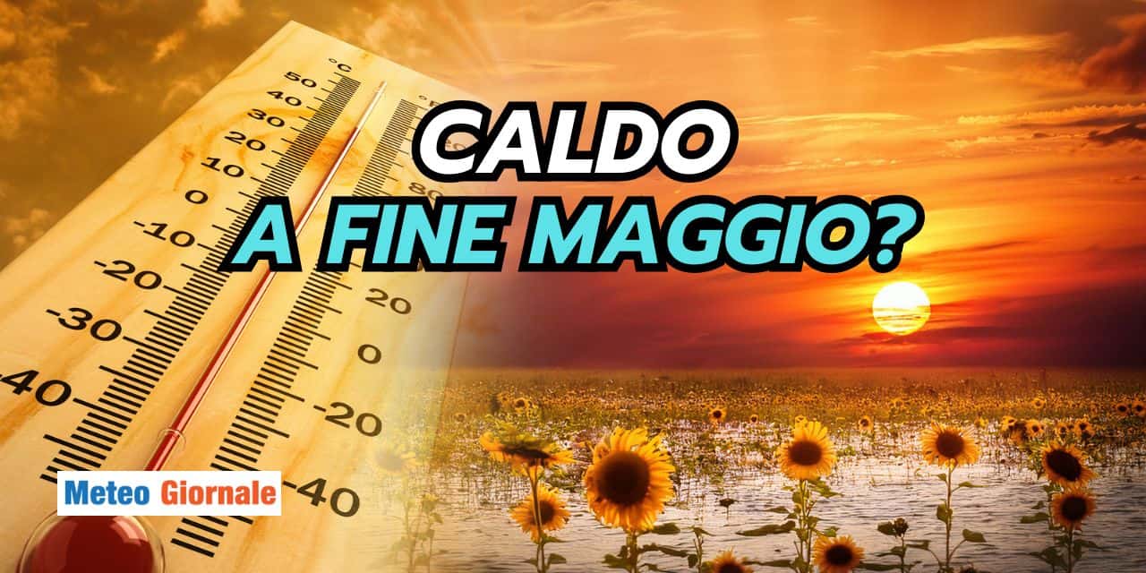 caldoafine 1904