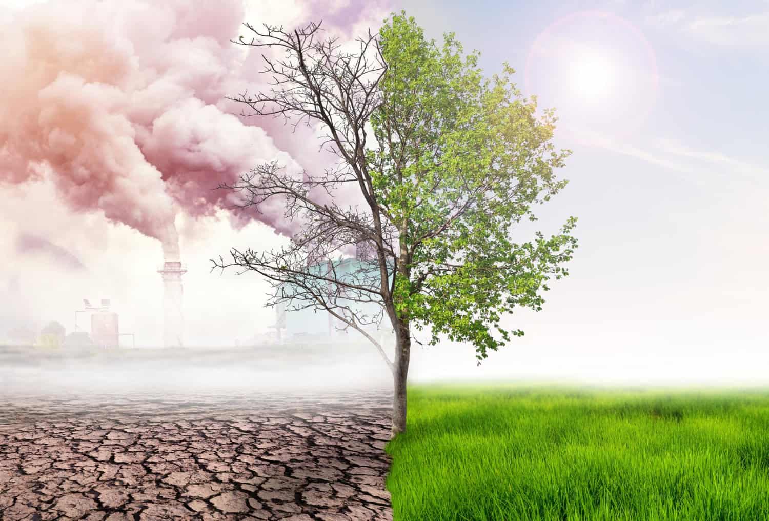 Il cambiamento climatico minaccia il 91% delle specie protette negli USA