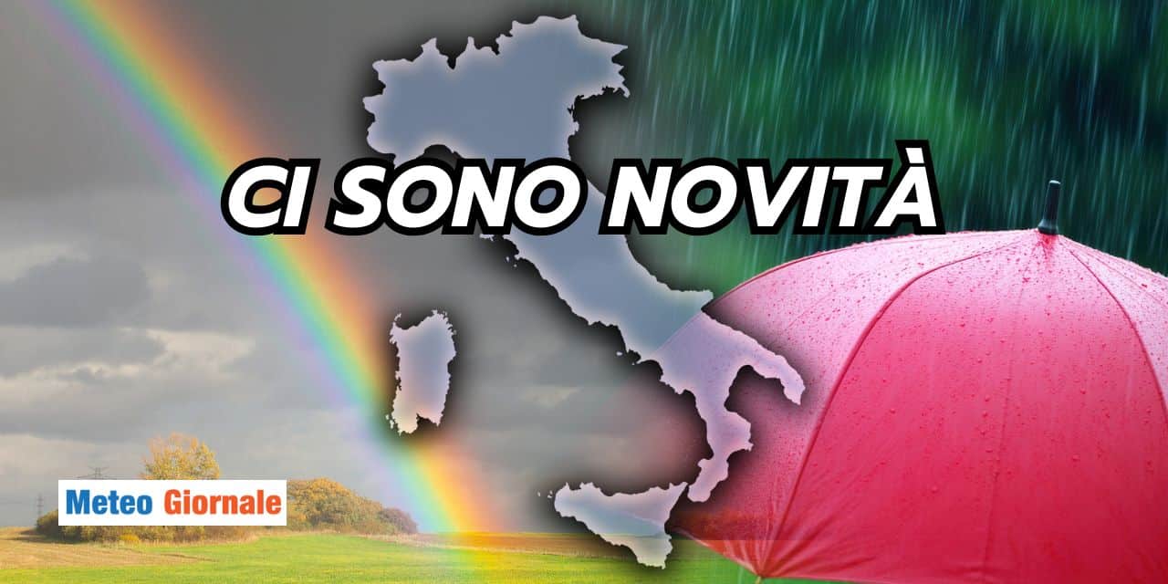 cisono 1504