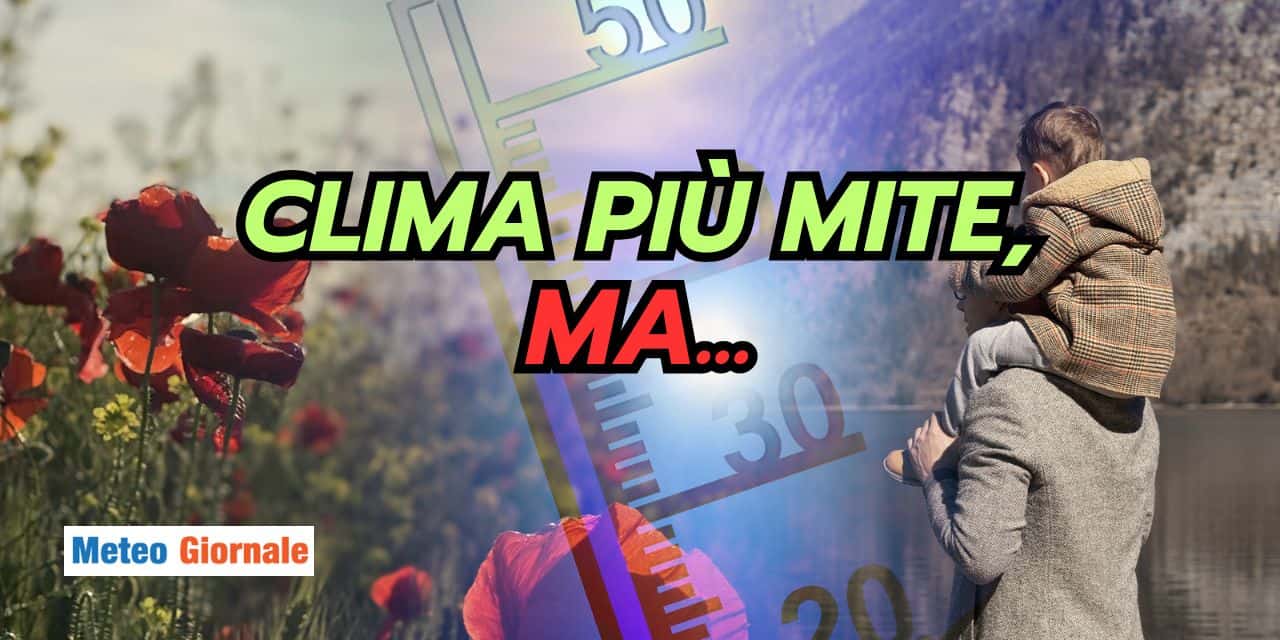 clima 1004