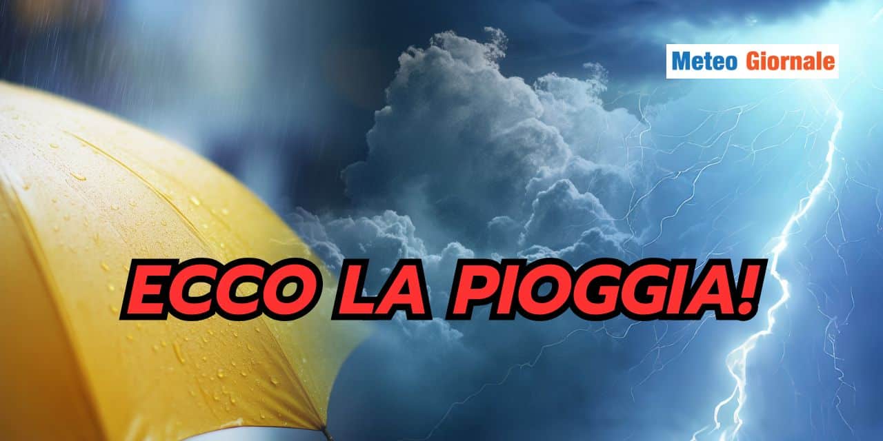 ecco 1004