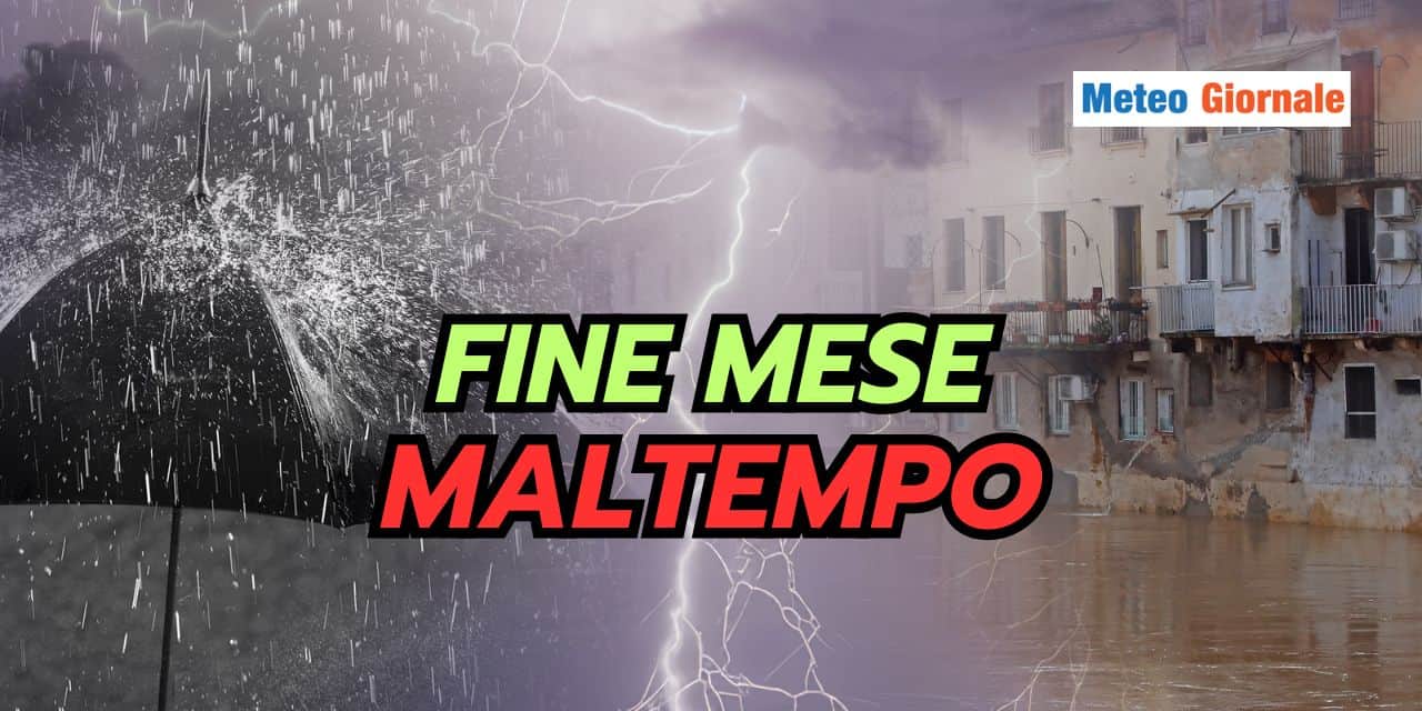 finemese 1204