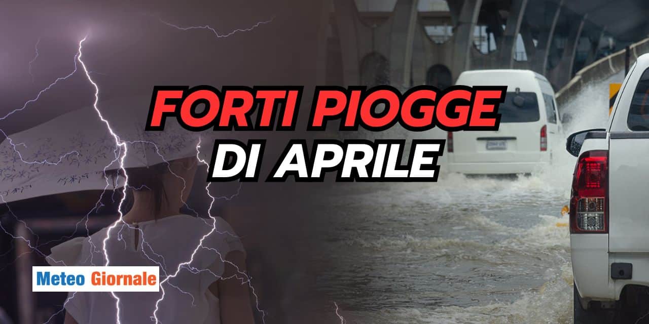 forti 1204