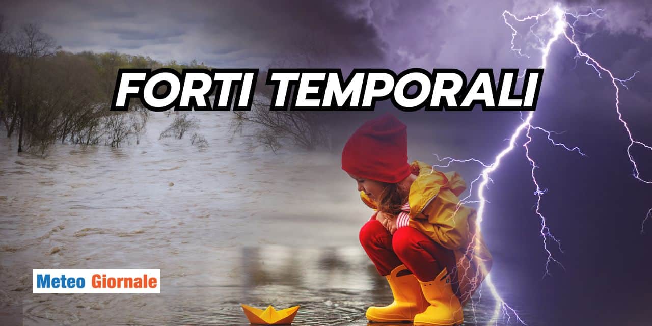 forti 2804