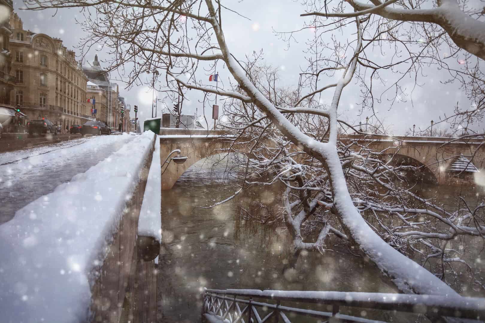 frost in paris 120425