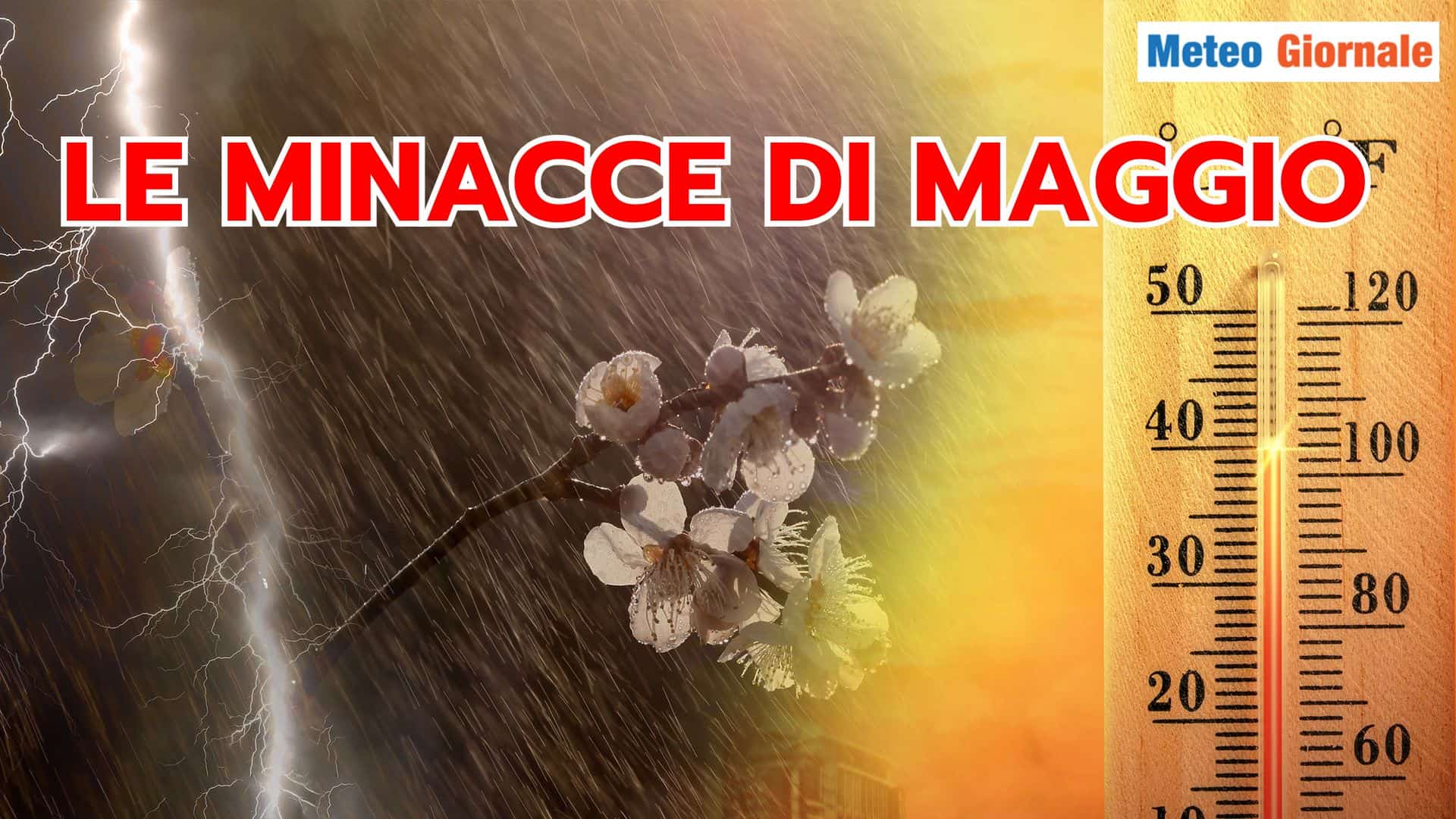 maggio 22 tfhery