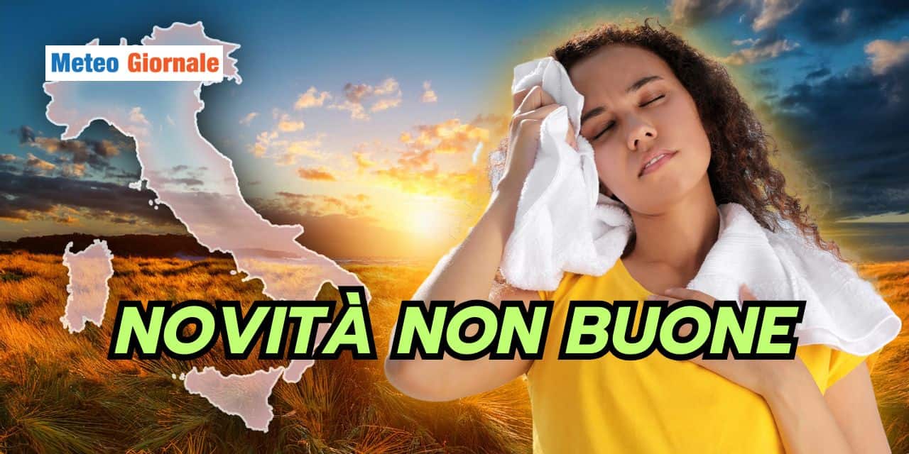 novita 0304