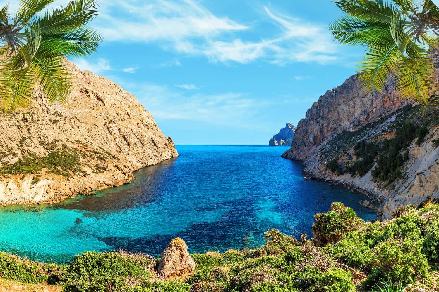 palma di maiorca 280425 2