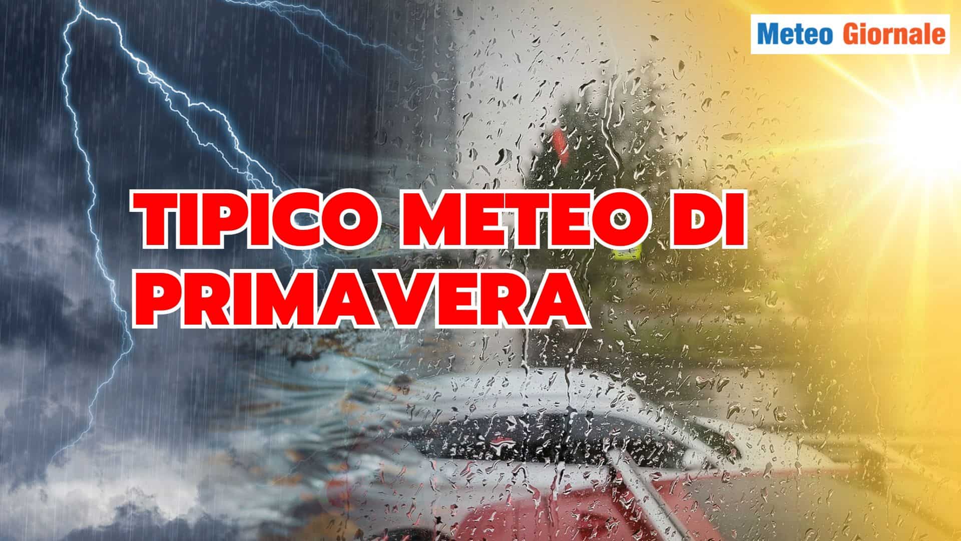 primavera 19 rtocge