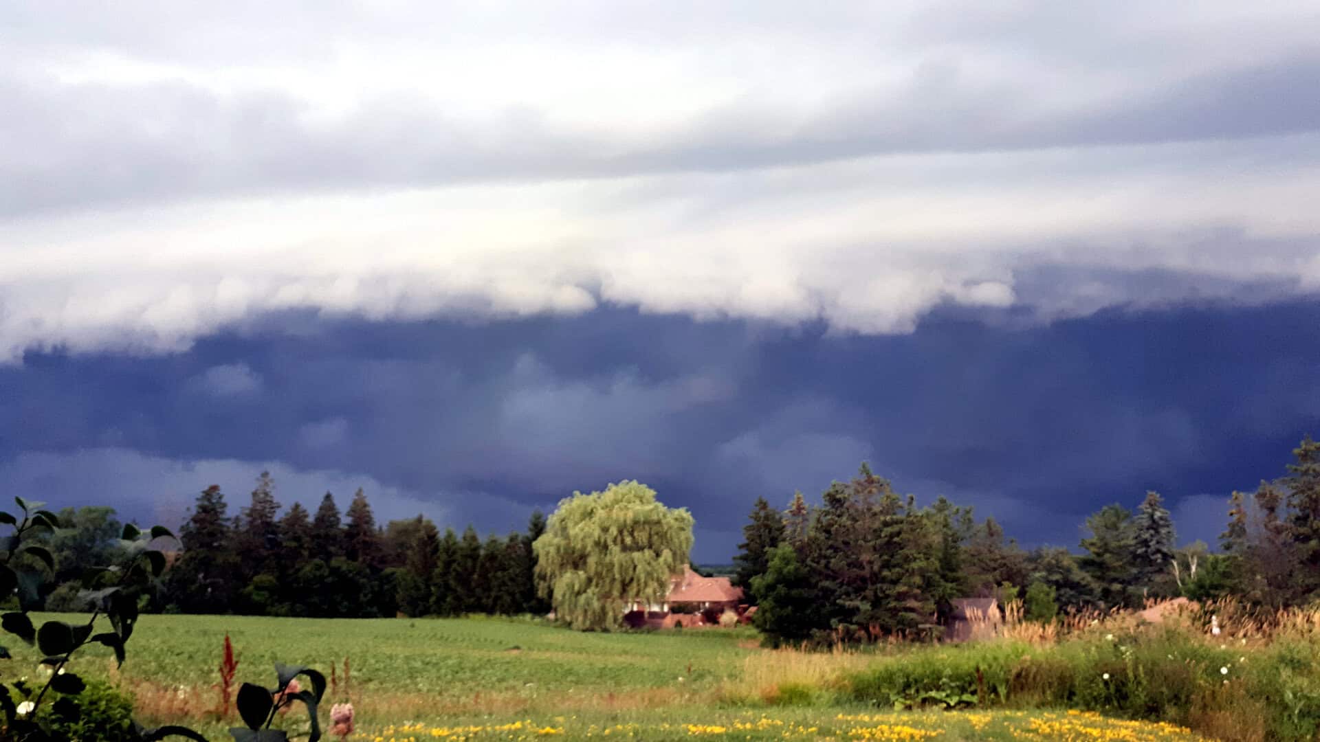 Meteo Ontario, Canada: temperature a 25 °C e temporali in arrivo