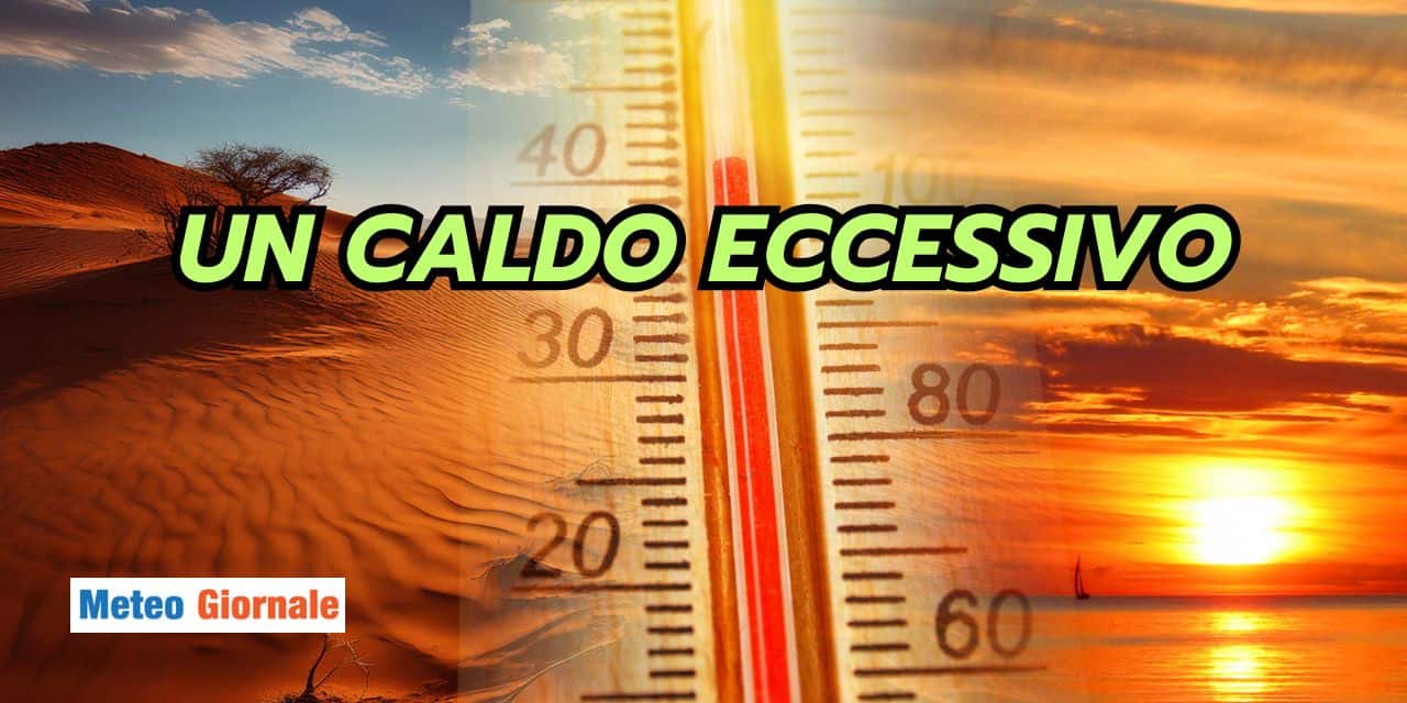 uncaldo 2104