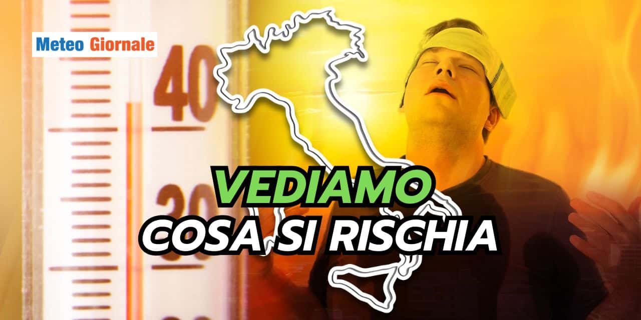 vediamo 2004