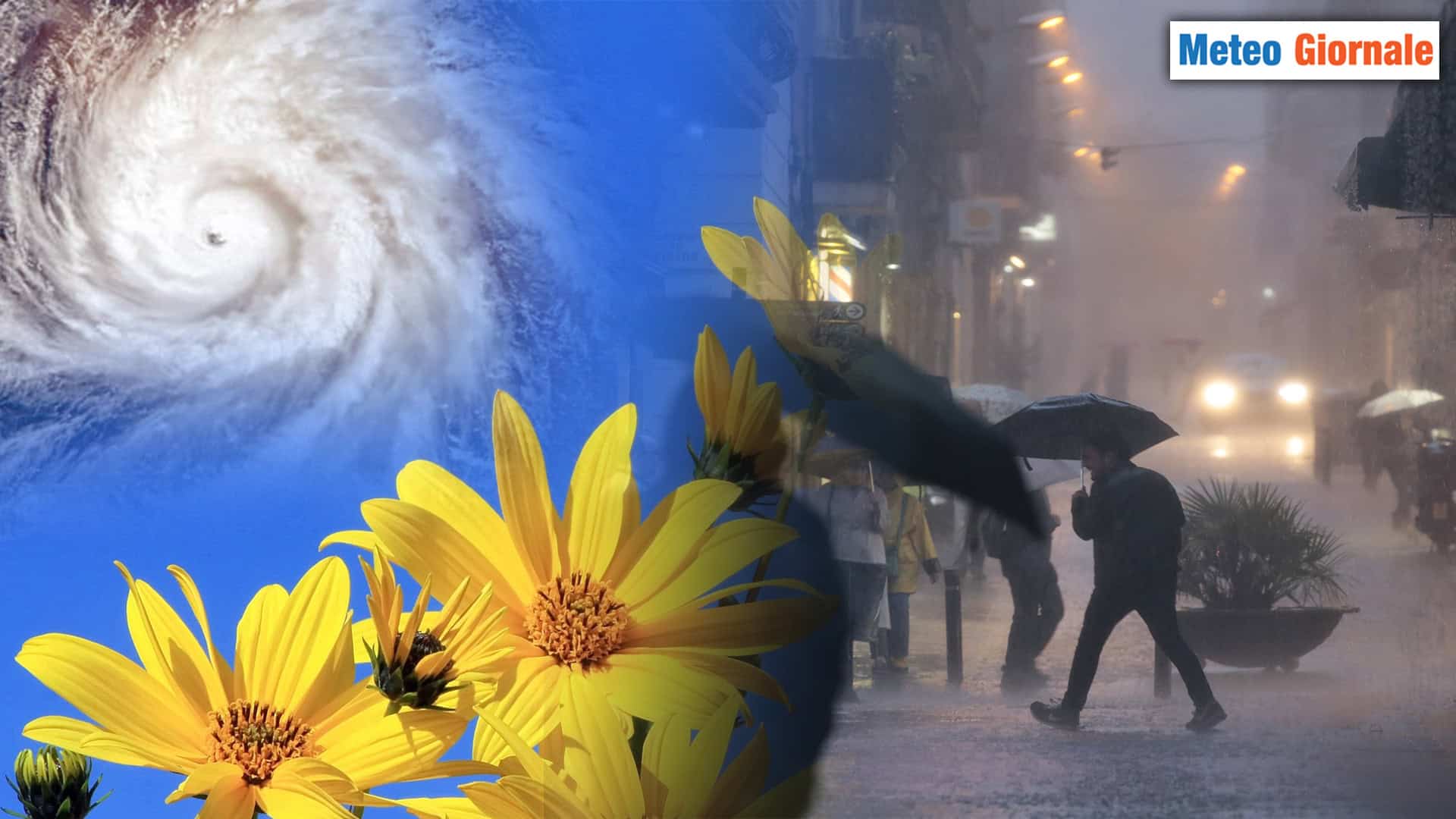 120525 D