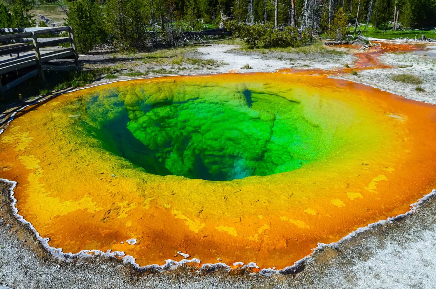 Speciale Yellowstone, il mostro americano ed i suoi disastri affascinano Hollywood