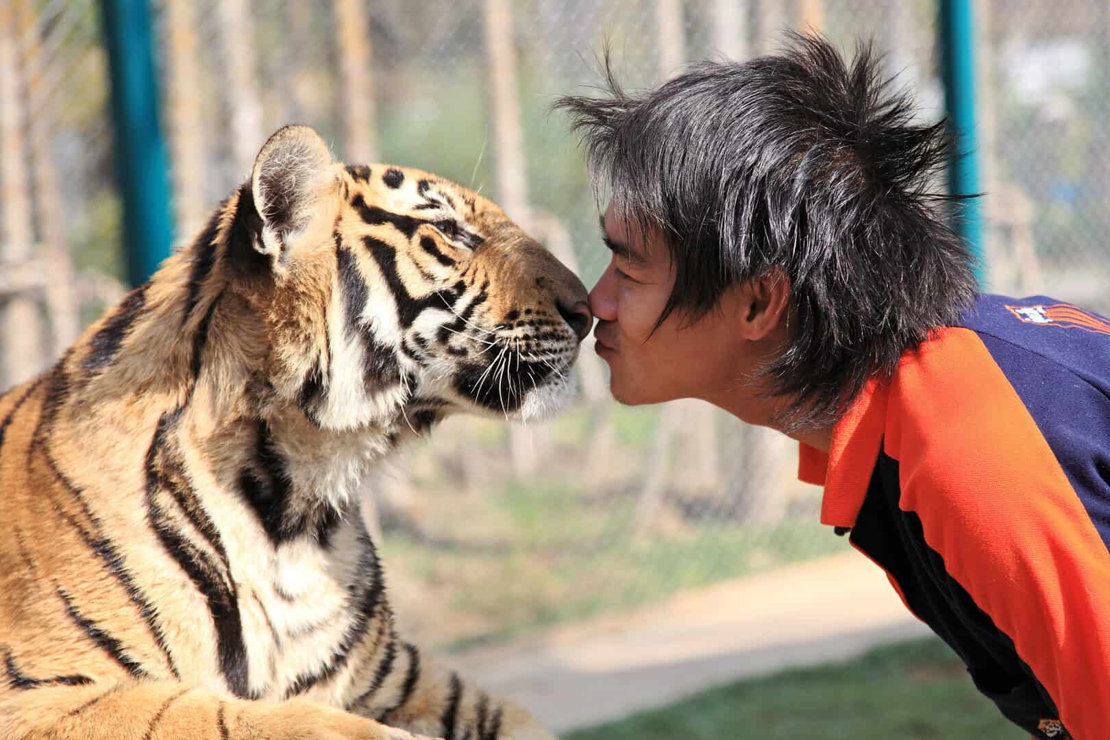Chiang Mai 020525 3