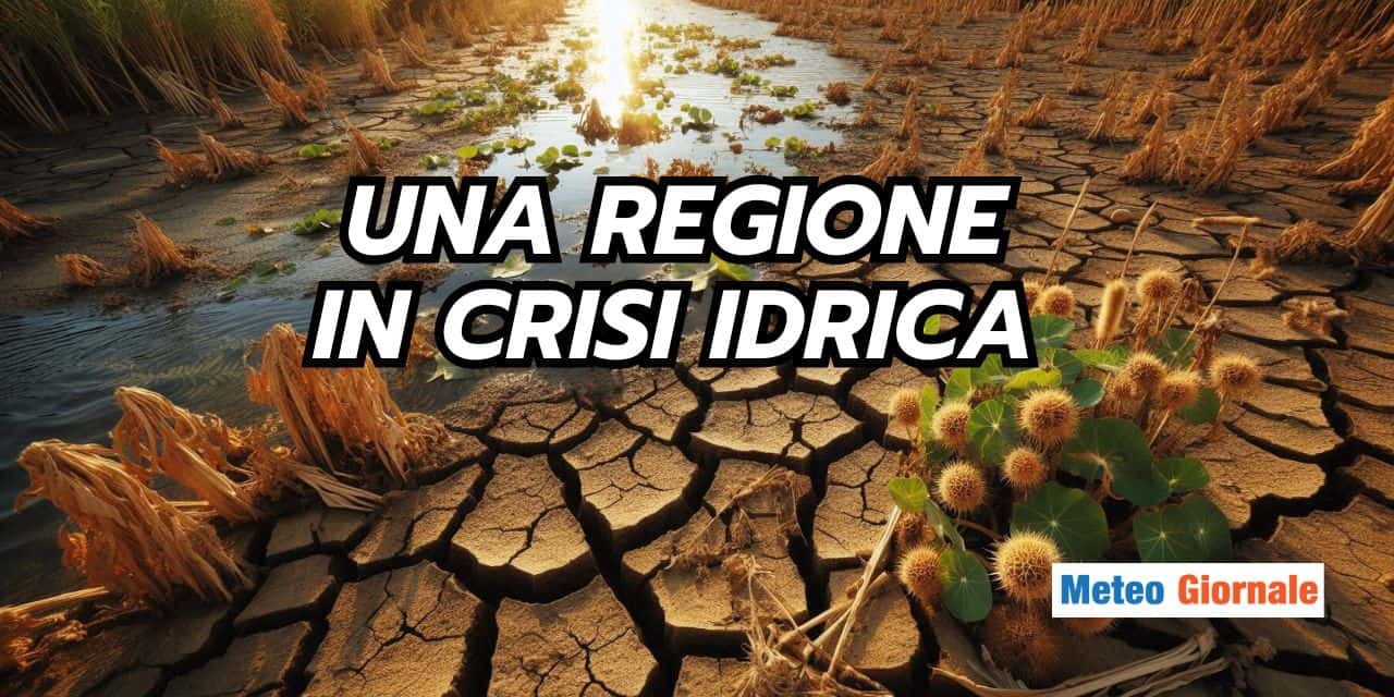 Copia di BOMBE DI GRANDINE 2025 05 09T101017.848