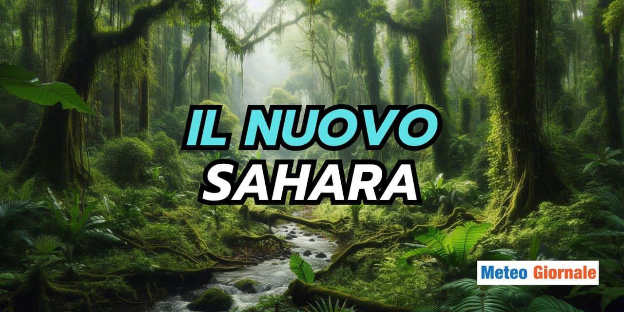 Copia di BOMBE DI GRANDINE 2025 05 12T192116.148