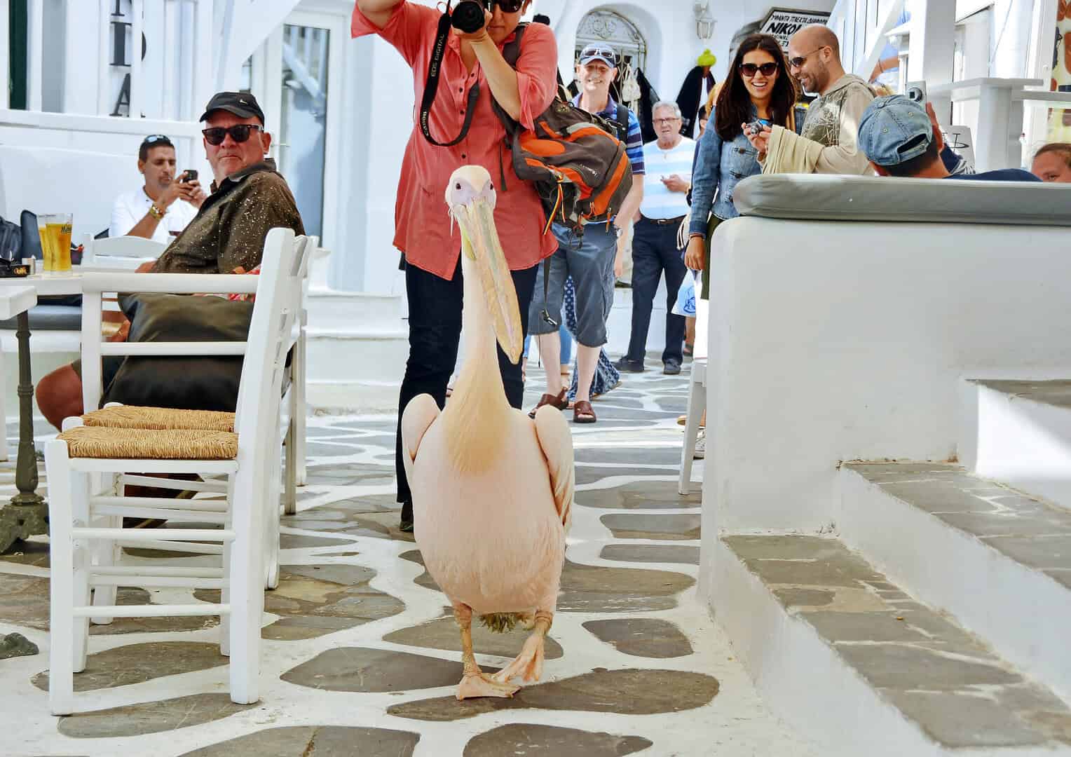 Mykonos: L’isola bianca dove il sogno incontra il mare