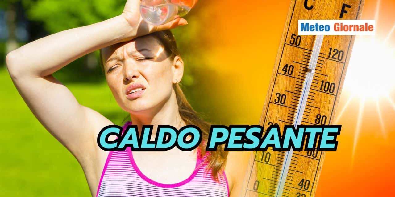 caldo 2405