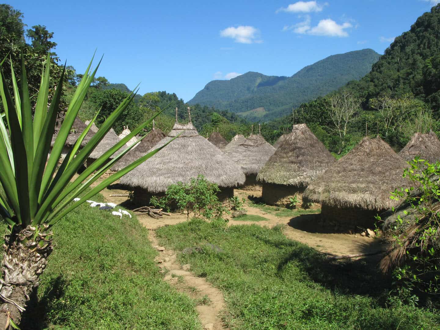 lost city colombia 020525 2