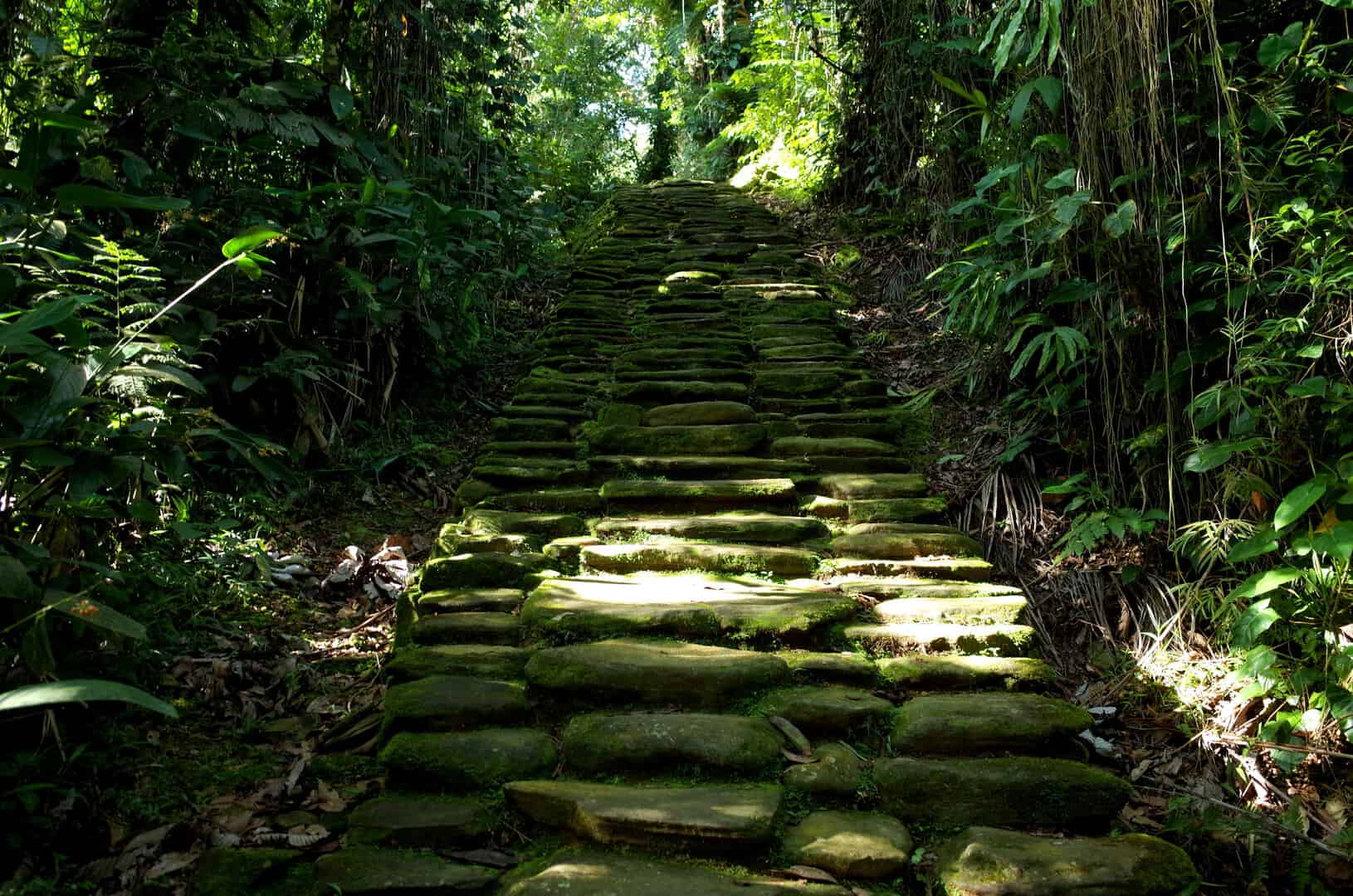 Tra giungla e leggenda: esplorando Ciudad Perdida