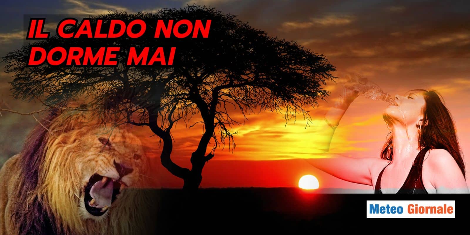 Meteo e notti tropicali nelle città italiane: il nuovo volto del caldo che non dorme mai